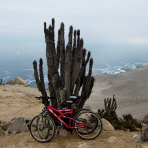 Our new bicycles 350 meters over the Pacific Ocean